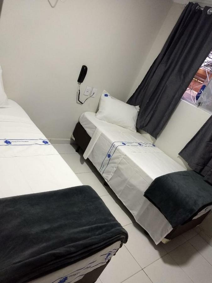 Hotel Flor Paulista 상파울루 외부 사진